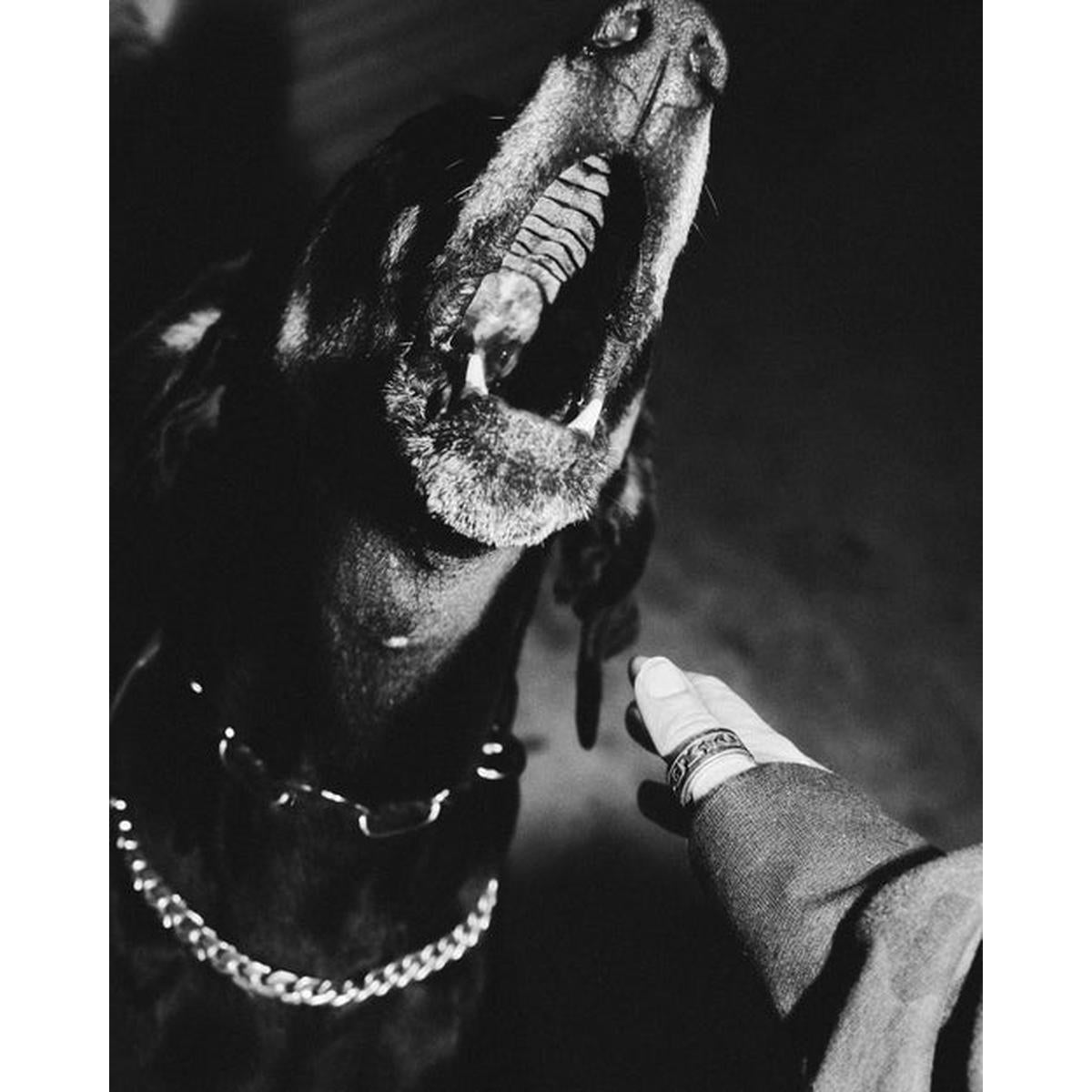 Twojeys Bold Cuban Necklace