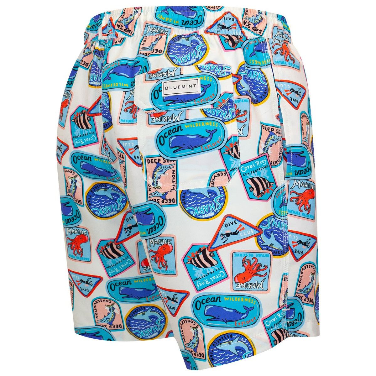 Bluemint Swim Shorts