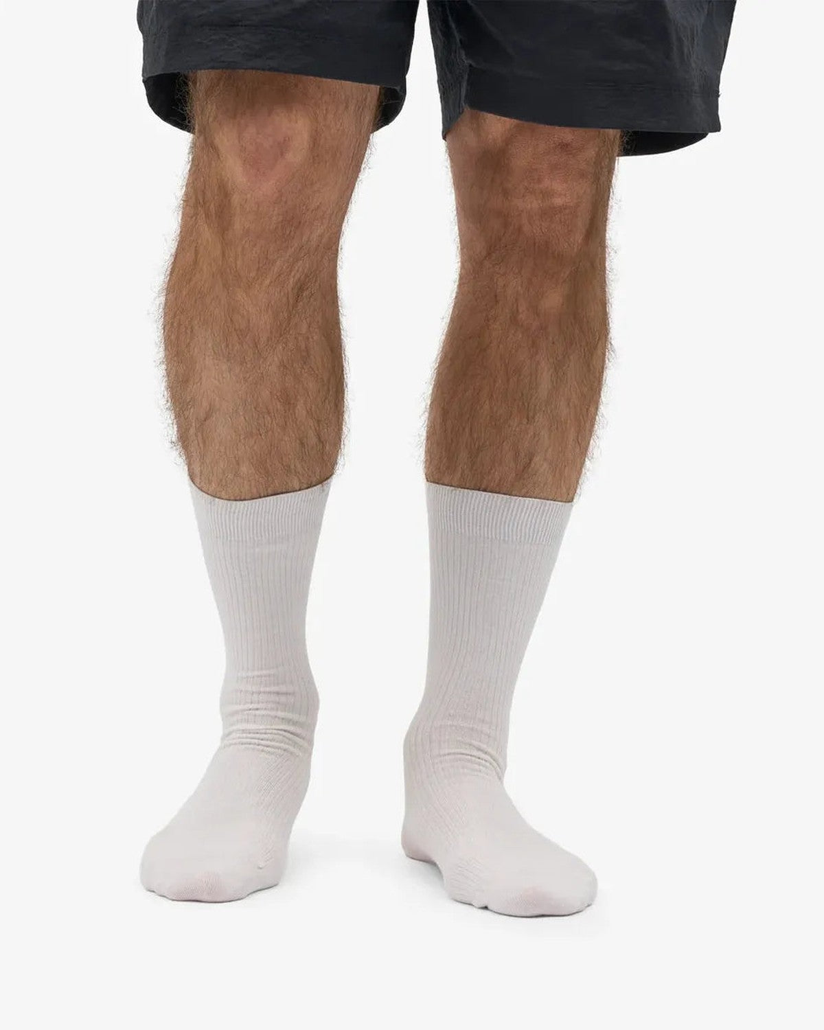 Colorful Standard Classic Organic Socks in Optical White