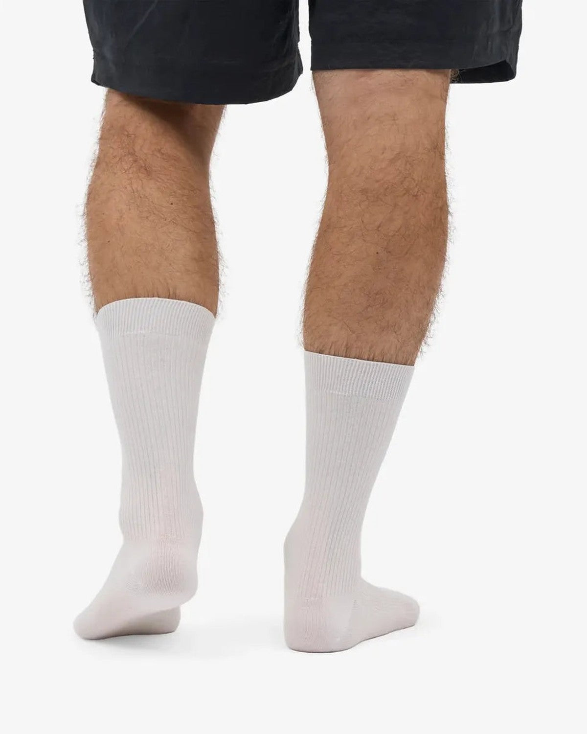 Colorful Standard Classic Organic Socks in Optical White